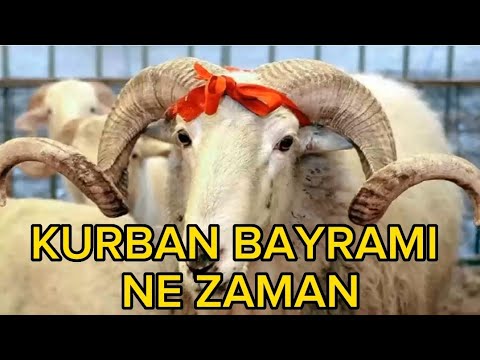 Kurban Bayramı Ne Zaman? 2023 de Kurban Bayramı Tarihi Nedir?