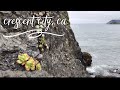 GREAT STOPS NEAR CRESCENT CITY, CA with no money!! (ROAD ...