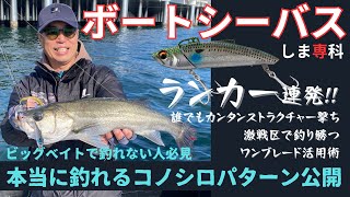 【ヒロセマンTV】東京湾ボートシーバスしま専科? コノシロパターンのランカー連発!