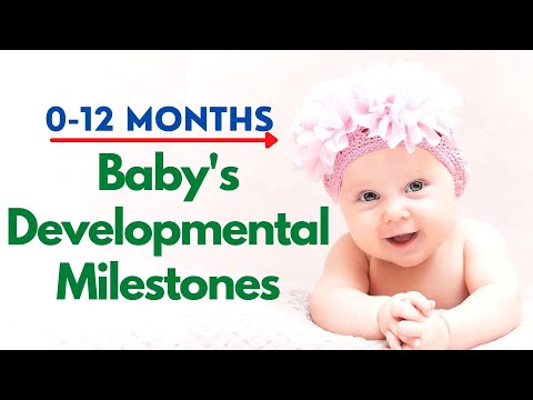 Baby's Developmental Milestones From Birth to 12 Months | Baby Growth From 0 to 12 Months 