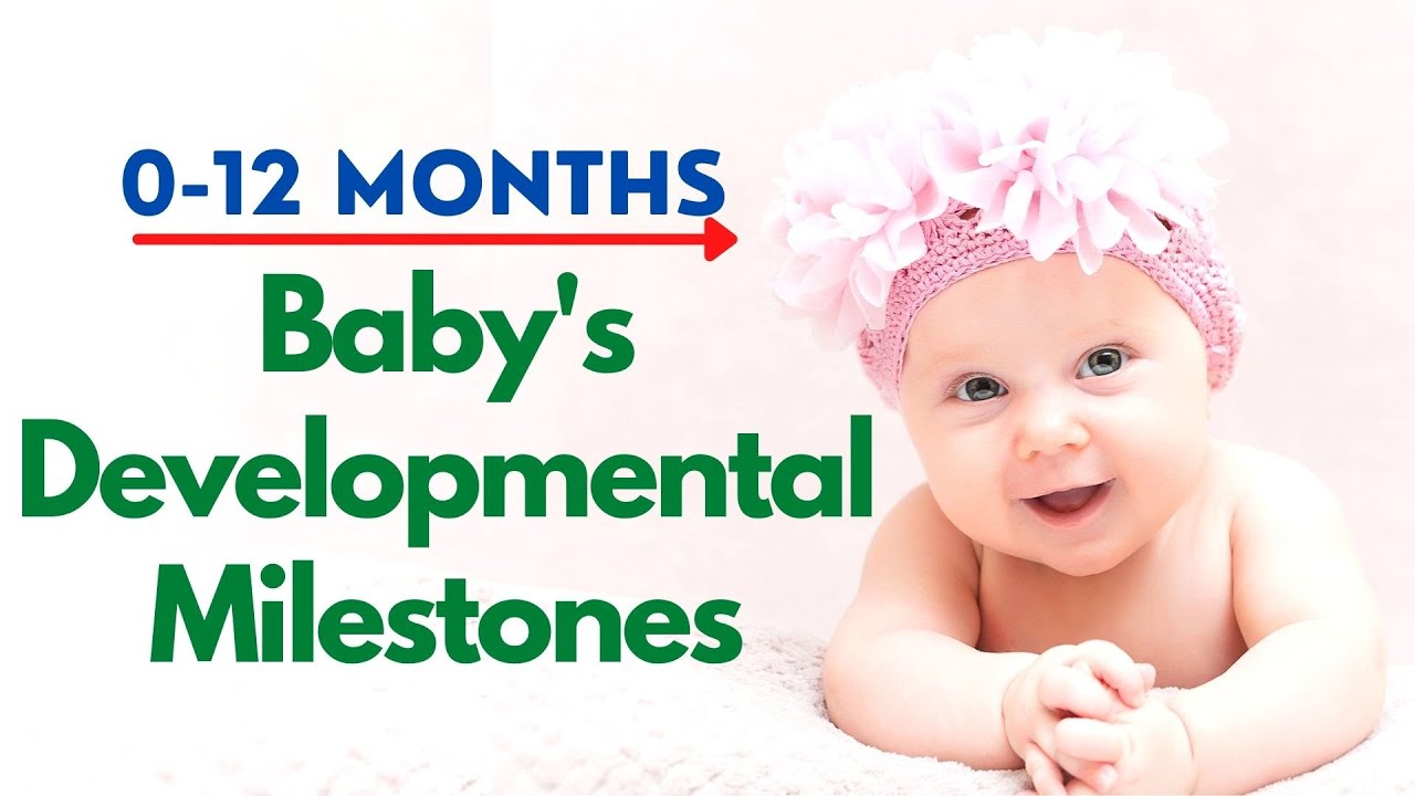 Baby's Developmental Milestones From Birth to 12 Months | Baby Growth ...