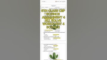 Class 6th Science CEP Assignment-4 fully solved. 6th class CEP Assignment-4 Science #pseb #class6