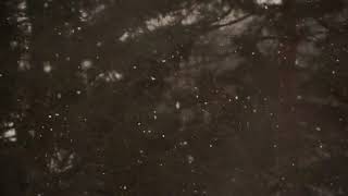 Snowing in Slowmo (68-second timer)