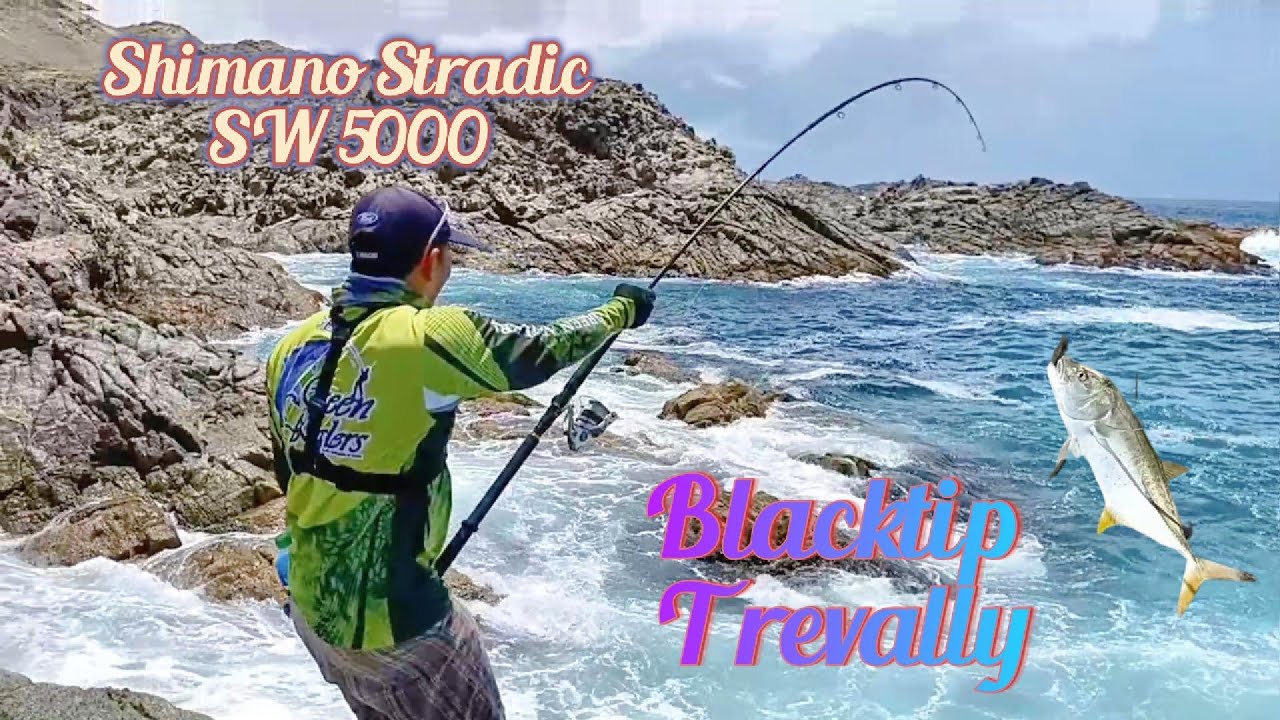 Can A Shimano Stradic SW Handle Blacktip Trevally? Complete Guide & Setup Tips