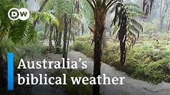 Australia goes from brutal bushfires to flash floods | DW News