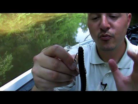 Bass fishing - How to rig a plastic worm - senko 