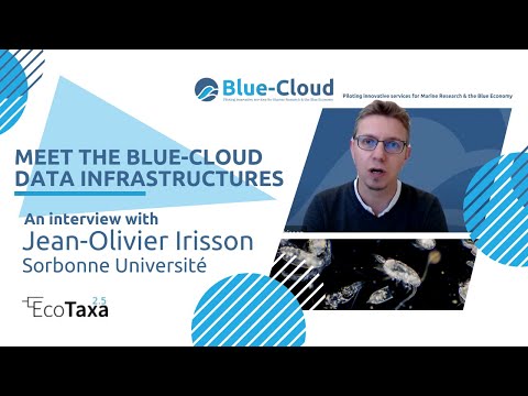 Blue-Cloud marine data infrastructures - An interview with Jean Olivier Irisson (EcoTaxa)