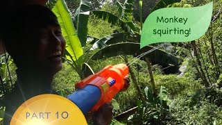 Monkey Squirting - Sammy's Simple Solutions #10