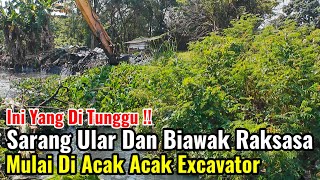 Download Lagu Ini Yang Di Tunggu‼️Sarang Ular Dan Biawak Raksasa Di Kali Karang Satria Di Acak Acak Excavator MP3 Download Lagu Ini Yang Di Tunggu‼️Sarang Ular Dan Biawak Raksasa Di Kali Karang Satria Di Acak Acak Excavator MP3