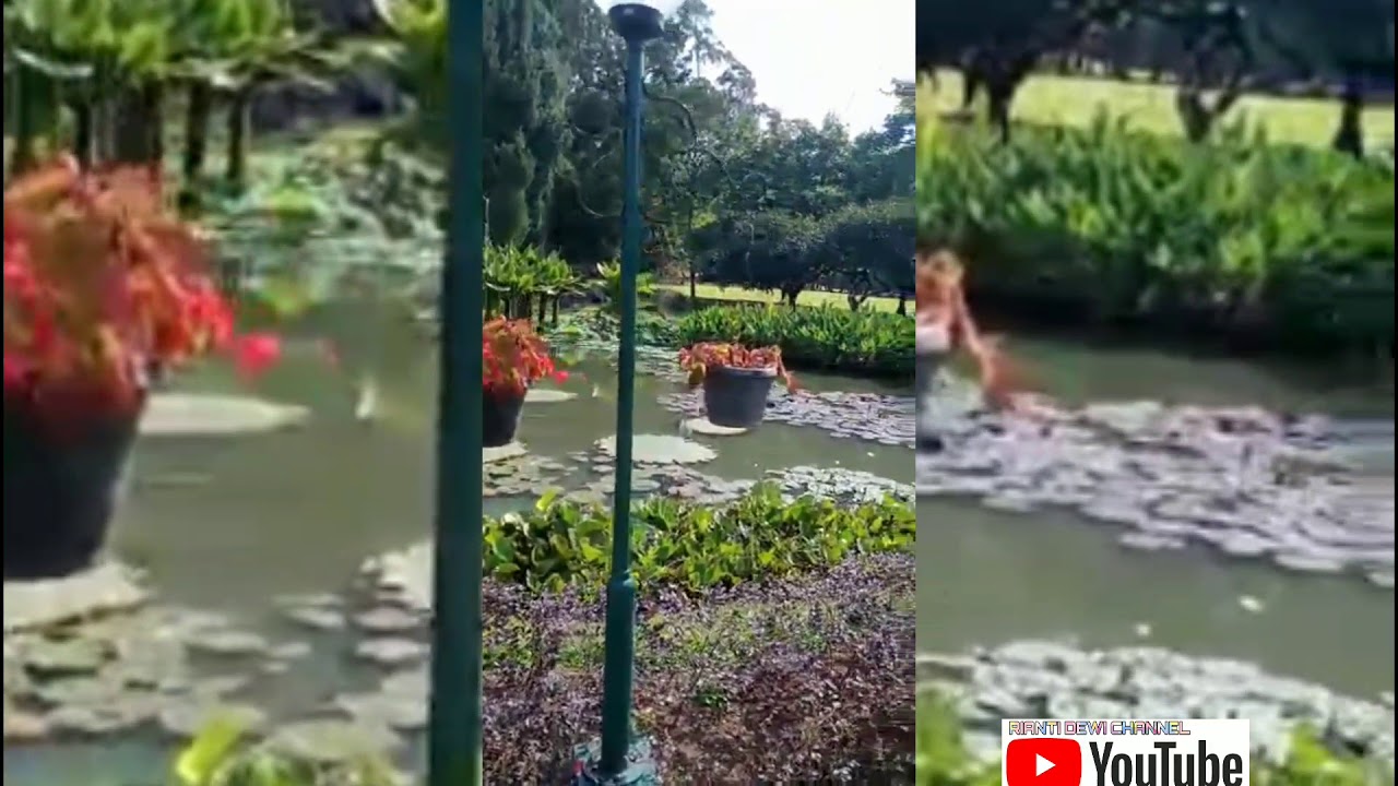  TAMAN  BUNGA  NUSANTARA  BOGOR YouTube 