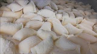 Stuffed gnocchi machine GR60 ITALGI