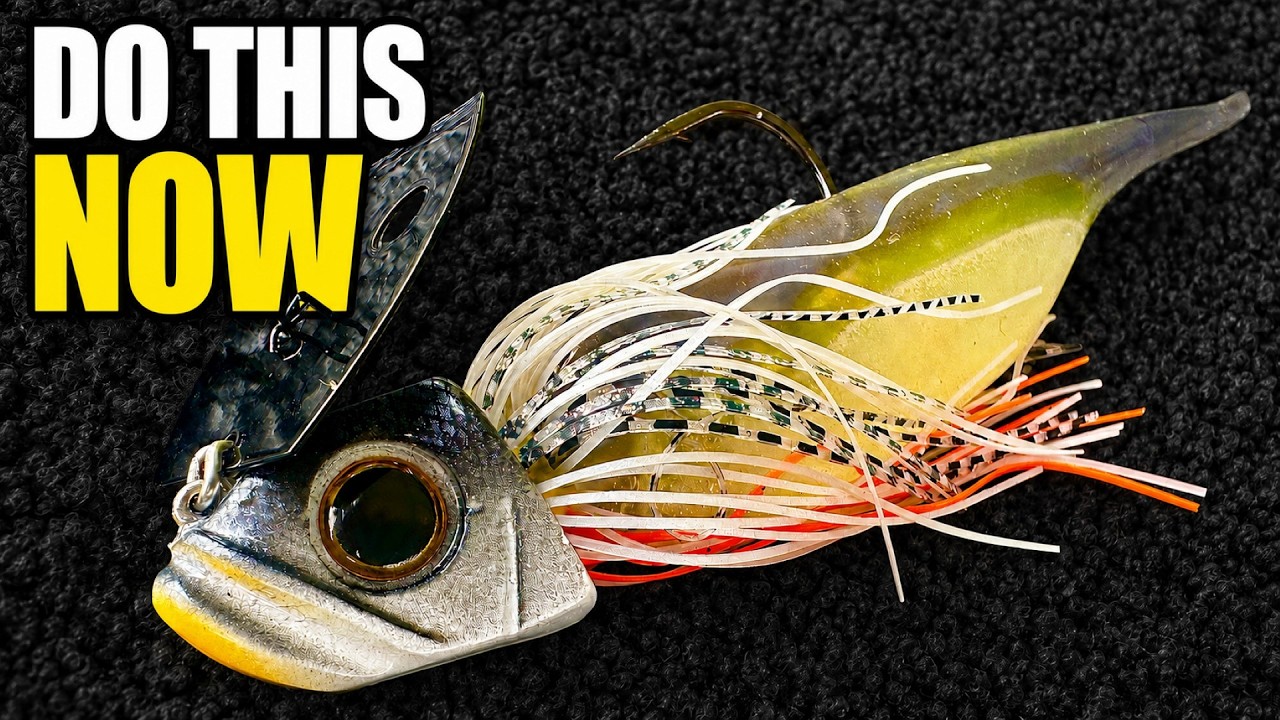 I WISH Someone Told Me THIS About Chatterbaits SOONER