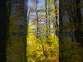 Bible Verses about Greed #journal #religion #jesus #shorts #shortvideo #god