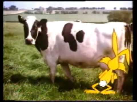Nesquick commercial from the 80s (Dutch)