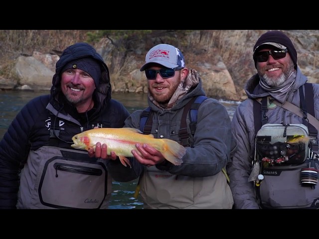 Striking Gold in Colorado 