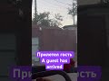 Голубь / #shorts / #tiktok