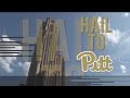 University of Pittsburgh Overview 2017