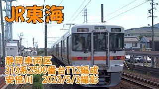 ＜JR東海＞静岡車両区313系2500番台T12編成 安倍川　2023/5/3撮影／JR-Central 313-2500 T12 Abekawa