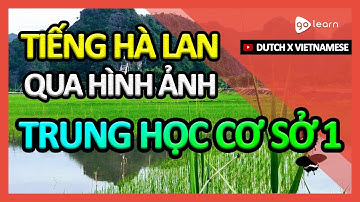 Học Tiếng Hà Lan Qua Hình Ảnh |Từ Vựng Tiếng Hà Lan Trung Học Cơ Sở 1 | Golearn