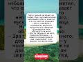 Сосед и "кадиллаки" #юмор #сатира #анекдоты #анекдот #смех #смешноевидео #мем #подборка