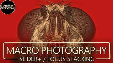 Easy Focus Stacking Workflow for Mindblowing Macro Images | Slider+