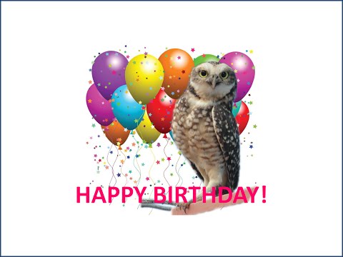 funny-bird-singing-happy-birthday