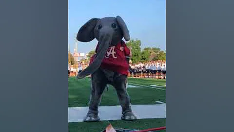 2018 08 25 Russell Estes Pregame