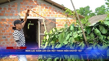 NGHỊ LỰC VƯƠN LÊN CỦA MỘT THANH NIÊN KHUYẾT TẬT | Truyền Hình Quảng Trị