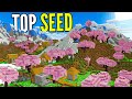 I SEED MIGLIORI di MINECRAFT ITA di MARZO