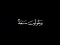 سيقولون ثلاثة رابعهم كلبهم شاشة سوداء القارئ احمد خضر سيقولون ثلاثة رابعهم كلبهم شاشة سوداء القارئ احمد خضر