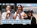 Top Foods At A Japanese Highway Rest Stop Near Mt. Fuji