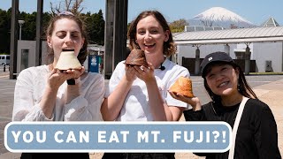 Top Foods At A Japanese Highway Rest Stop Near Mt. Fuji