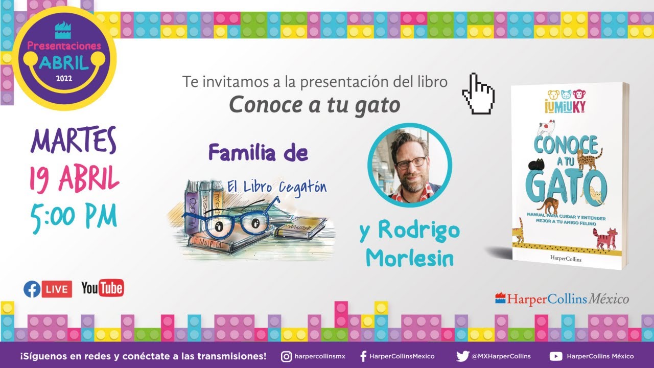 Conoce a tu gato - Manual para cuidar y entender mejor a tu amigo ...