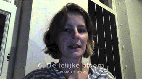 Humanlang: Dutch (The Miracles of Human Language MOOC)