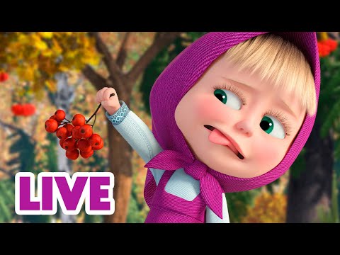 🔴 LIVE! Maşa İle Koca Ayı 👍 Bunu Deneyin! 🙋‍♀️ Masha and the Bear