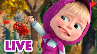 🔴 LIVE! Maşa İle Koca Ayı 👍 Bunu Deneyin! 🙋‍♀️ Masha and the Bear