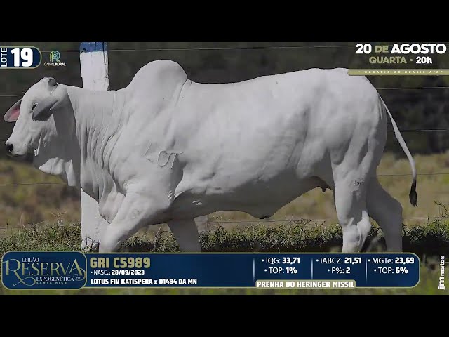 LOTE 19   GRI C5989