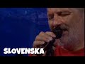 Djordje Balasevic - Slovenska - (Live)