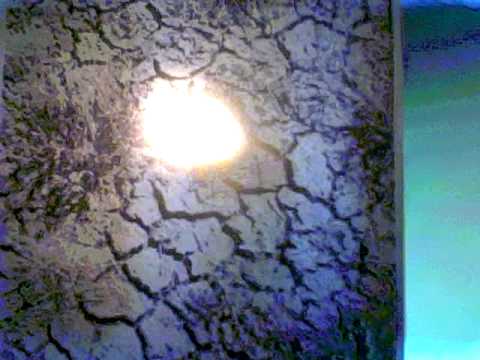 David Redtruck Yeaman CHINA CAT SUNFLOWER Robert E...