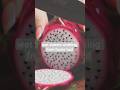 Work From Home Miracle #usa #shortvideo