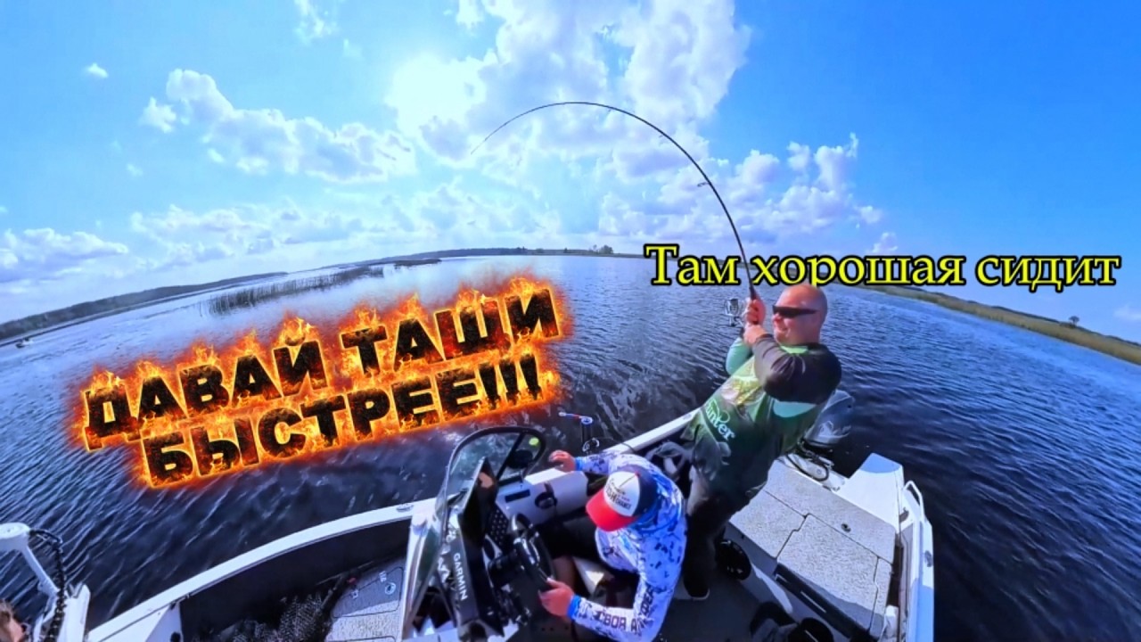 СУДАКИ МУТАНТЫ! РЫБЫ ВАЛОМ ТУТ! МЫ НА ПОБЕДНОМ ПОДИУМЕ!!!