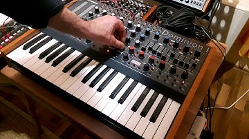 MFB Dominion1 percussionloop