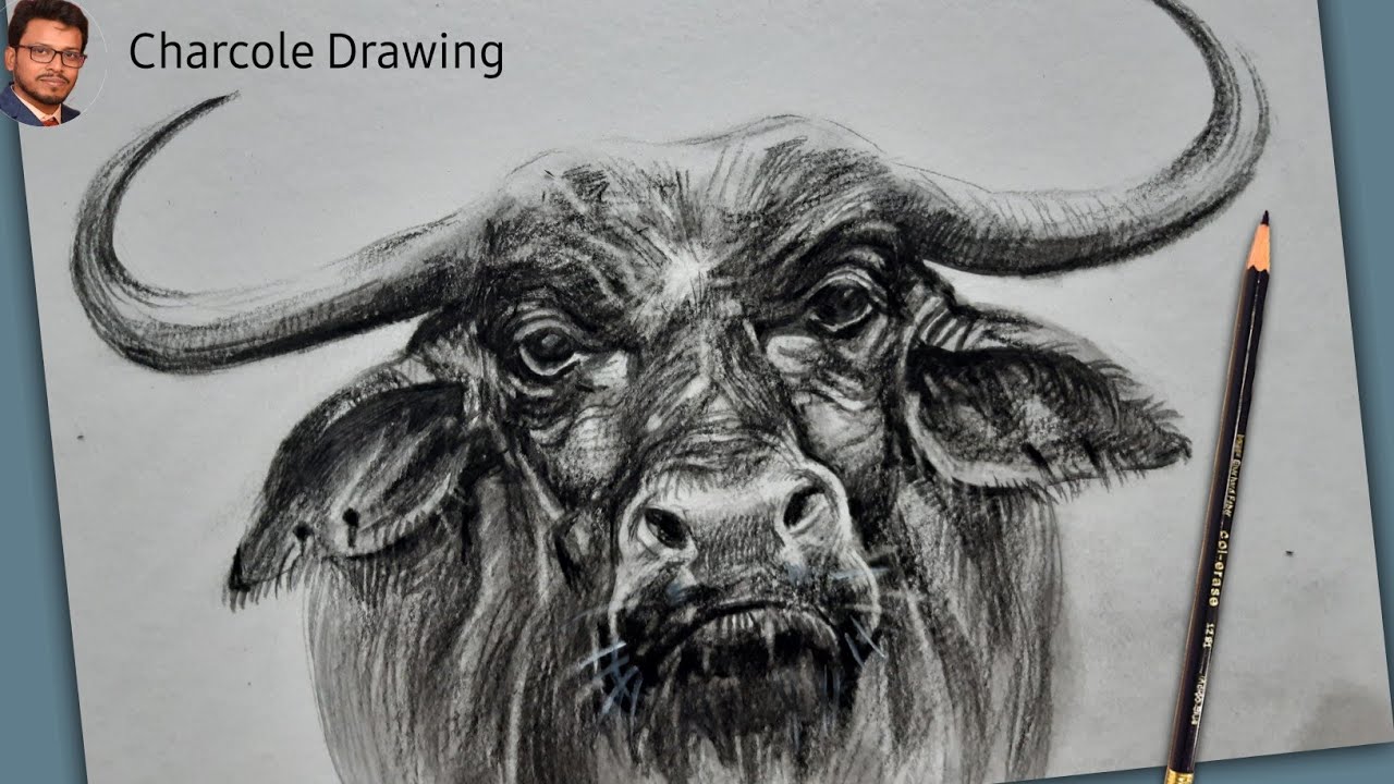 Head of Bull Head Vector Illustration Brown Stock Vector - Illustration of  dairy, logo: 196314665