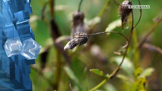 В Ночь С 22 На 23 Сентября Наступил День Осеннего Равноденствия