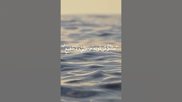✨ سوره السجده✨ آيه ٤~٥✨