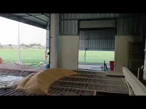 Grow agro seed grading plant