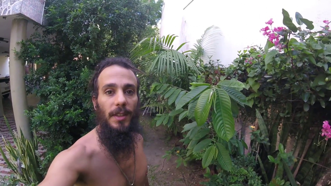 AgroFloresta Urban GrowHuGreen 