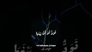 يوم تجد كل نفس ما عملت من خير محضرًا #السيد_سعيد