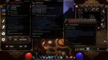 PC Torchlight 2 Escutcheon Legendary drop!