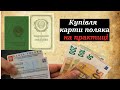 Чим закінчується купівля Карти поляка на практиці. Розкриваємо основні шахрайські схеми